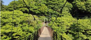 奧多摩湖-300x134 暑さを吹き飛ばす！東京周辺で楽しむ夏のアウトドアアクティビティ5選