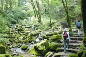 御岳山ロックガーデン-300x200 暑さを吹き飛ばす！東京周辺で楽しむ夏のアウトドアアクティビティ5選