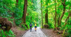 高尾山登山-300x158 暑さを吹き飛ばす！東京周辺で楽しむ夏のアウトドアアクティビティ5選